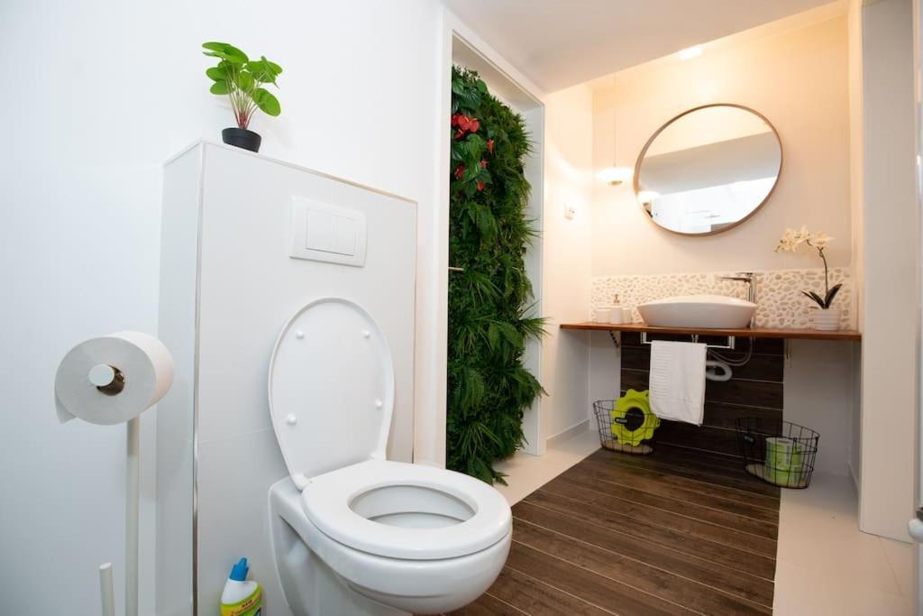 E-House Apartment Brasov Noua 외부 사진